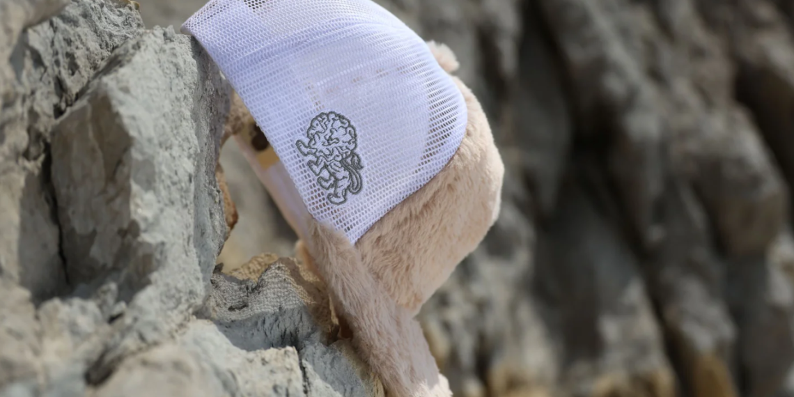 Qui veut une Trucker Hat ?!