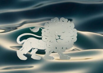 Focus sur Maison Disato !